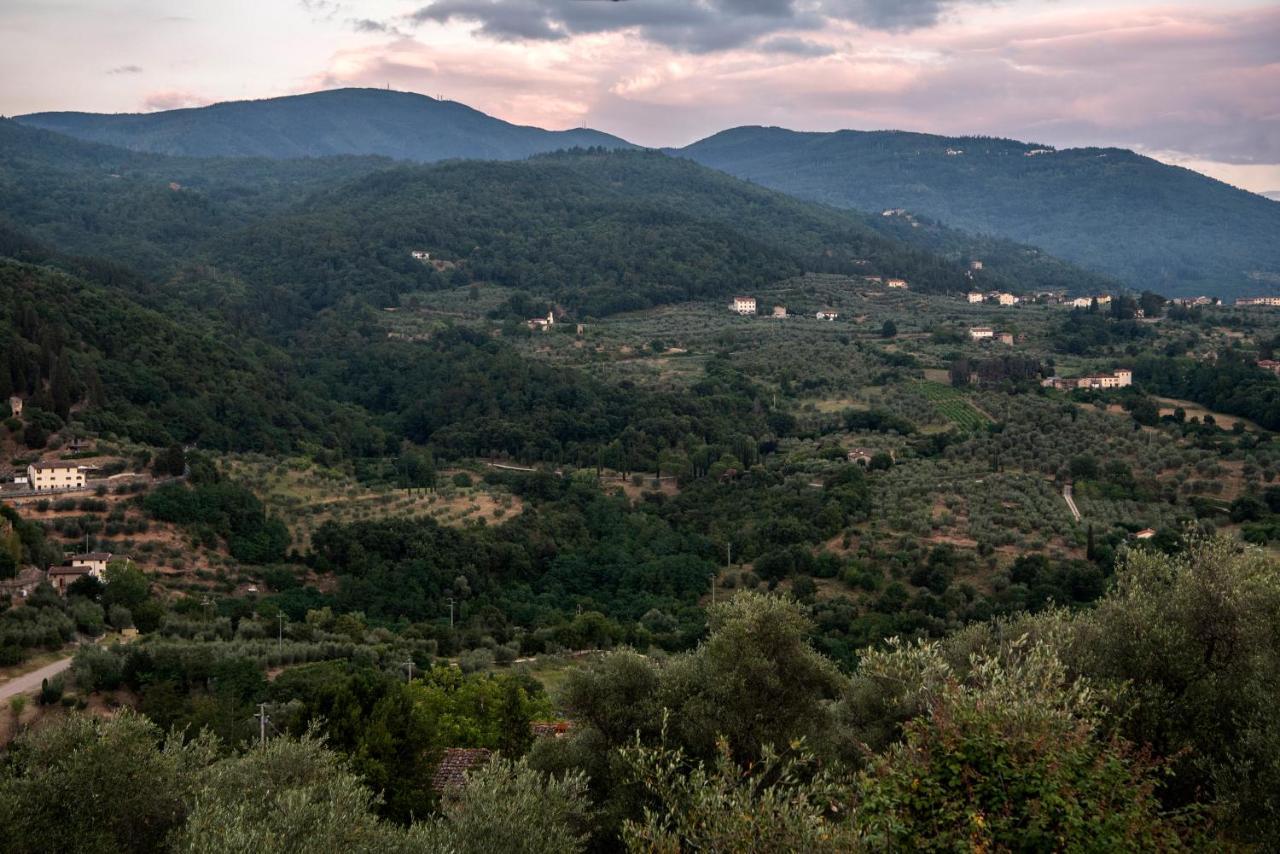 Fattoria Di Caticciano, Elegante Affittacamere Relax E Natura Vicino Firenze Pelago Luaran gambar